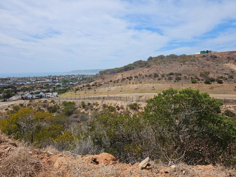 0 Bedroom Property for Sale in Menkenkop Western Cape